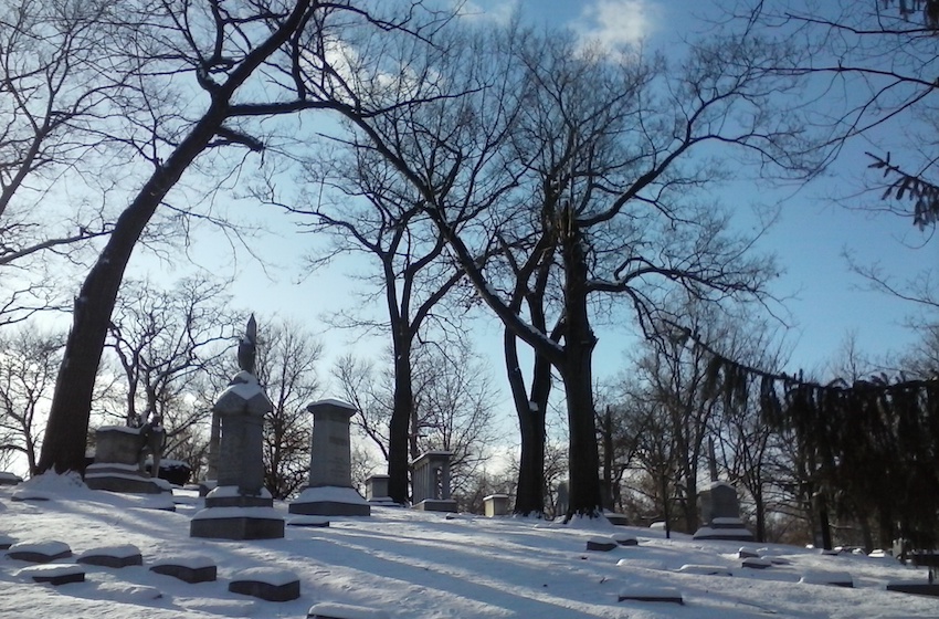 Woodland - Dayton
