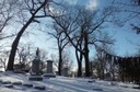 Woodland - Dayton