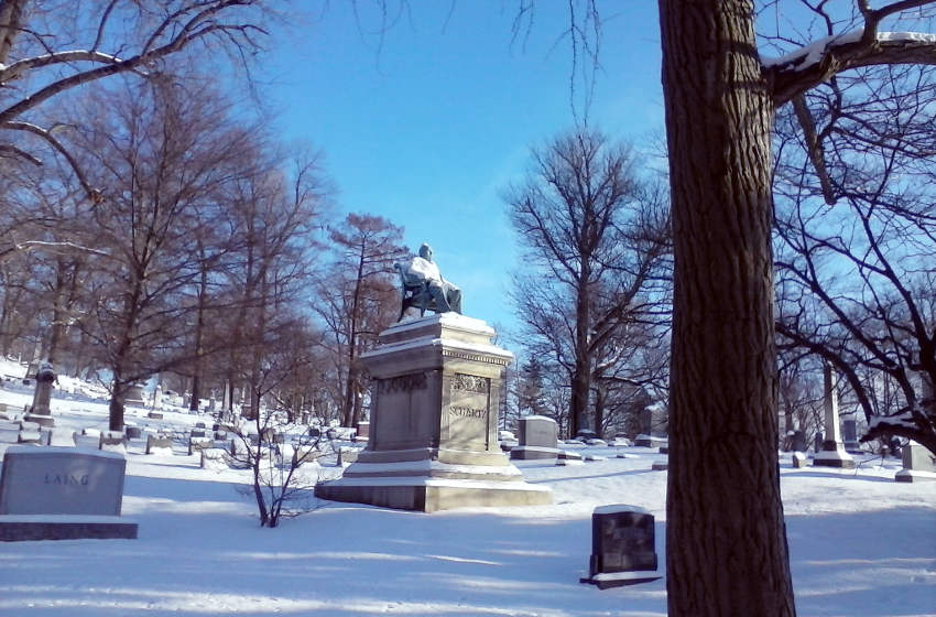 Woodland - Dayton