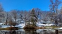 Woodland - Dayton