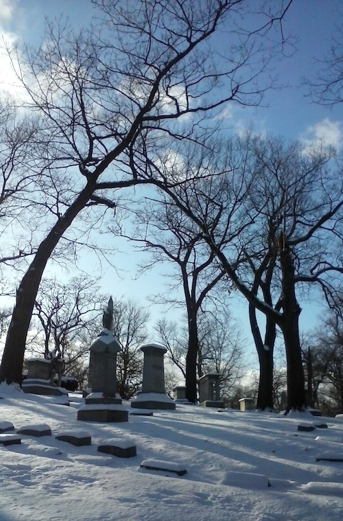 Woodland - Dayton